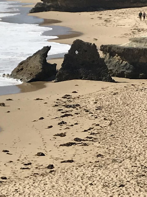 Sunsets On Martyrs Luxury Coastal Beach House Peterborough - C Tourism 41