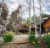 Lothlorien - C Tourism