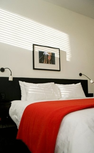 Middle Park Hotel - C Tourism 26