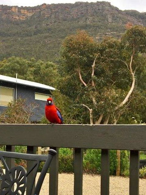 Kangurra Holiday House - C Tourism 15