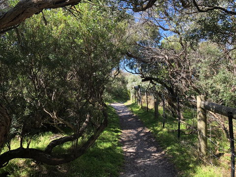 Beautiful, Cosy And Quiet - C Tourism 20