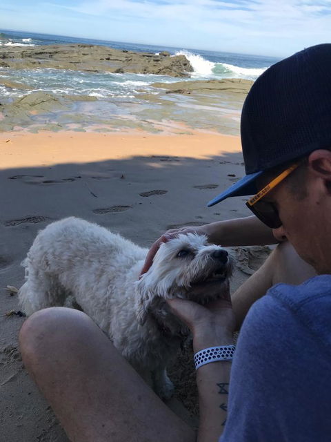 Beautiful, Cosy And Quiet - C Tourism 34