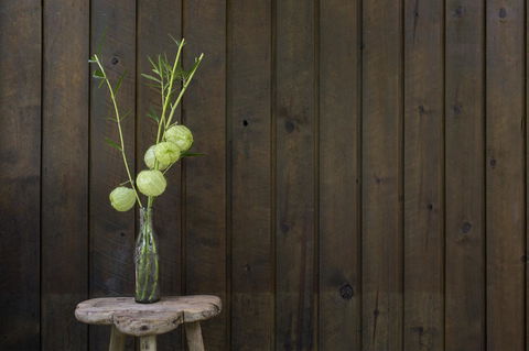 Botanica Editions - C Tourism 10