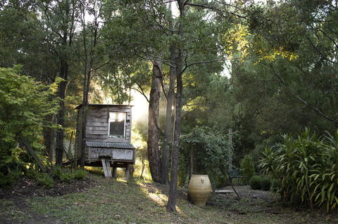 Botanica Editions - C Tourism 31