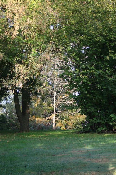 Strathmore Farm B&B - C Tourism 26