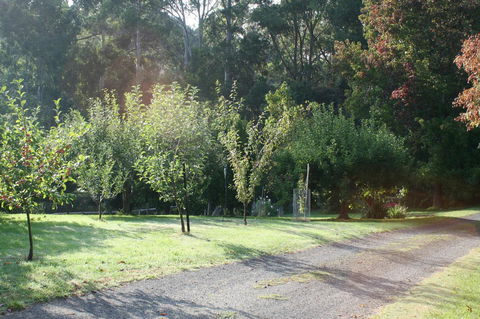 Strathmore Farm B&B - C Tourism 33