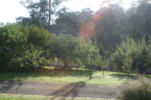 Strathmore Farm B&B - C Tourism 19
