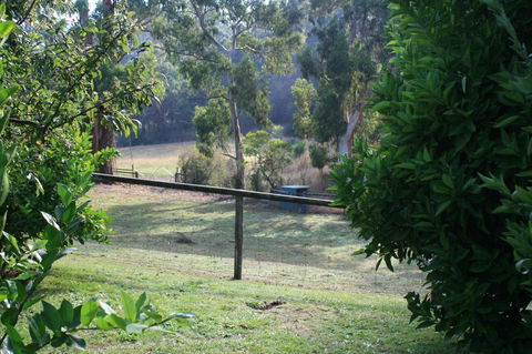 Strathmore Farm B&B - C Tourism 30