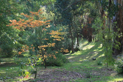 Strathmore Farm B&B - C Tourism 25