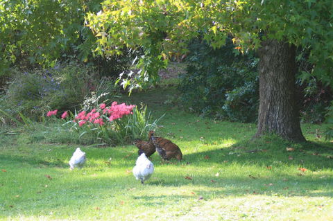 Strathmore Farm B&B - C Tourism 23