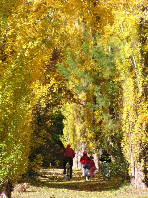 On The Banks - C Tourism 15