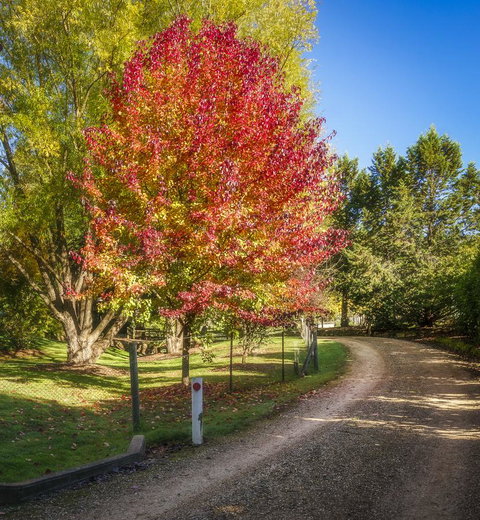 Bright Mystic Valley - C Tourism 23