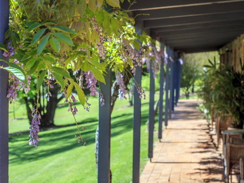 Bright Mystic Valley - C Tourism 22