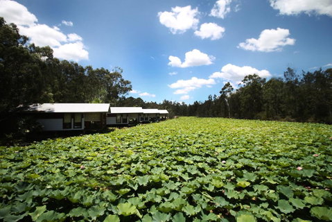 The Boathouses At Leaves & Fishes - C Tourism 0