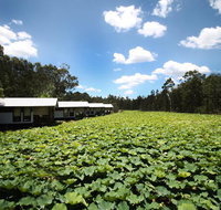 The Boathouses at Leaves  Fishes - C Tourism