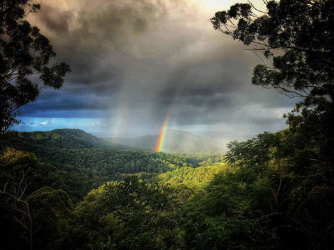 The Den Of The Treehouse, KINABALU Farm - C Tourism 0