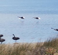 The DOLPHIN PLACE - C Tourism