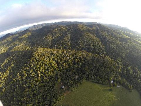 The Jungle Stays - C Tourism 1