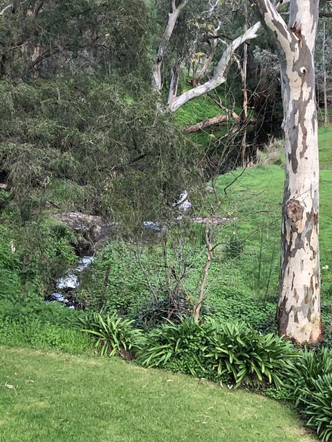 The Miners Cottage, Barossa - C Tourism 0