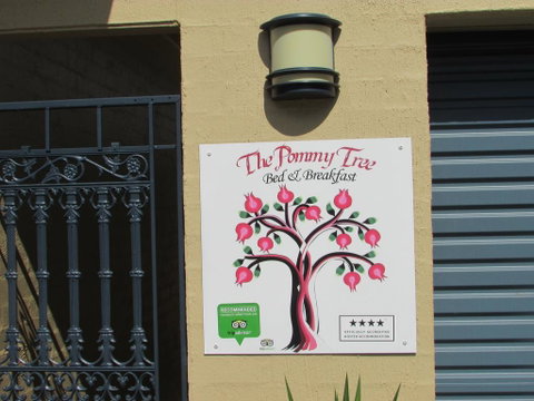 The Pommy Tree - C Tourism 1