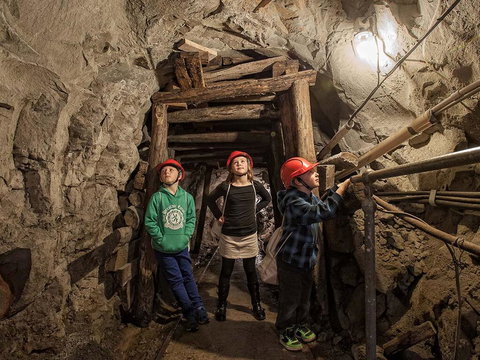 The Robin Hood Inn - C Tourism 2