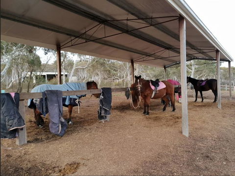 The Saddle Camp Tiny House, Braidwood - C Tourism 1