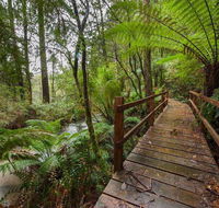 The Source Otways - C Tourism