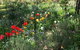 Tiffany's Country Cottages - thumb 3