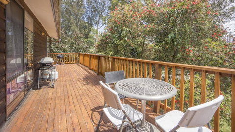 Tingira Drive 71 Bawley Point NSW - C Tourism 2