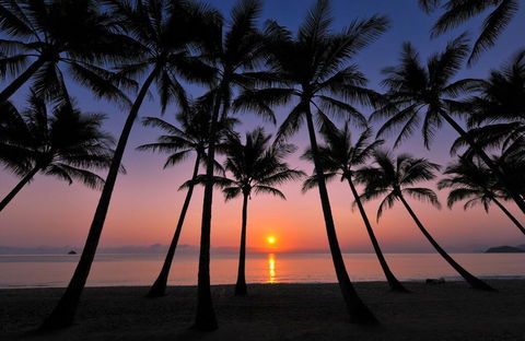 Tranquility Relax Palm Cove - C Tourism 1