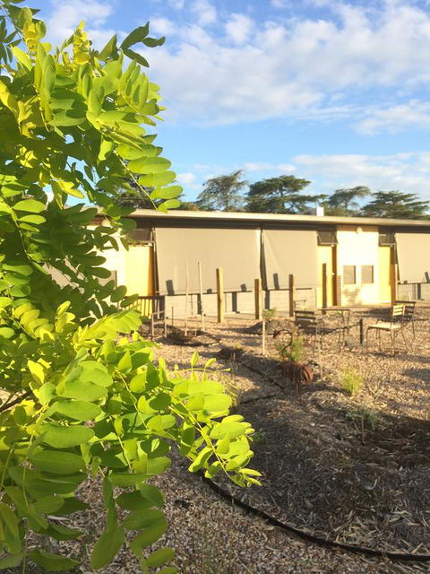 Tread Harcourt - C Tourism 0