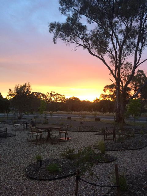 Tread Harcourt - C Tourism 2