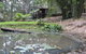 Turmeric Gardens - thumb 3