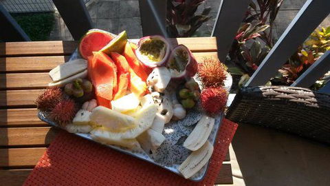 Turtle Reef Bed & Breakfast Cairns - C Tourism 2