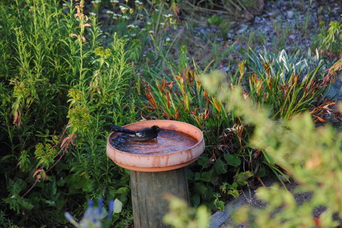 Tweed Valley Lodge - C Tourism 2