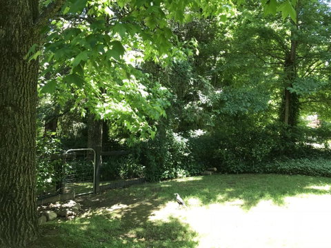 Tyntynder Garden Cottage 4 - C Tourism 2