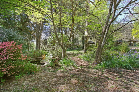 Until - Country Garden Setting - C Tourism 1