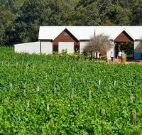 Upper Reach Spa Cottage - C Tourism