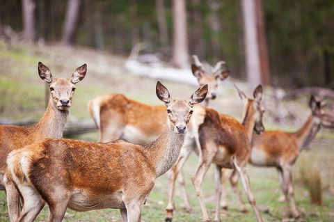 Villa Cervi Property - C Tourism 0