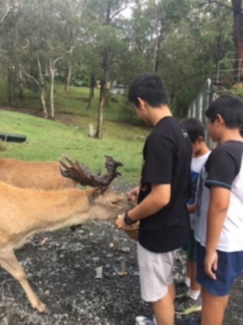 Villa Cervi Property - C Tourism 3