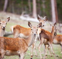 Villa Cervi Property - C Tourism