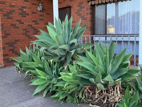 Vintage House In Bentleigh East - C Tourism 1