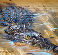 Walkabout Lodge - C Tourism