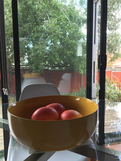 Daydream Cottage - C Tourism 19