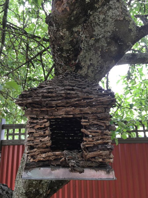 Daydream Cottage - C Tourism 18