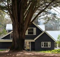 The Orchard - C Tourism