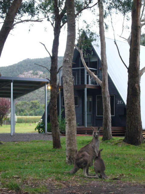 The A-Frame - C Tourism 1