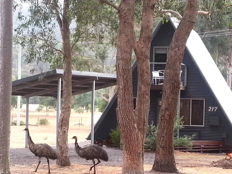 The A-Frame - C Tourism 9