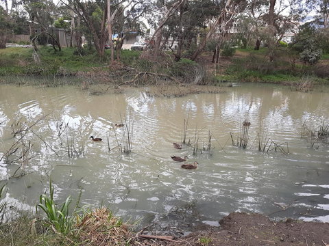 Elevated Holiday House Overlooks Tranquil Wetlands - C Tourism 12