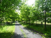 Book Wonga Park Accommodation Vacations C Tourism C Tourism